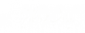 رویداد شب علم دانشگاه تبریز